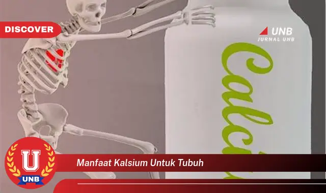 manfaat kalsium untuk tubuh