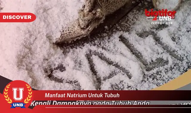 manfaat natrium untuk tubuh