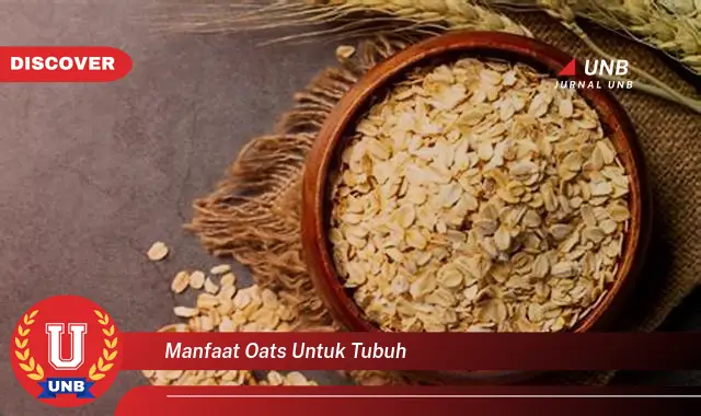 manfaat oats untuk tubuh