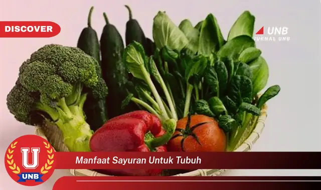 manfaat sayuran untuk tubuh