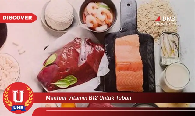 manfaat vitamin b12 untuk tubuh