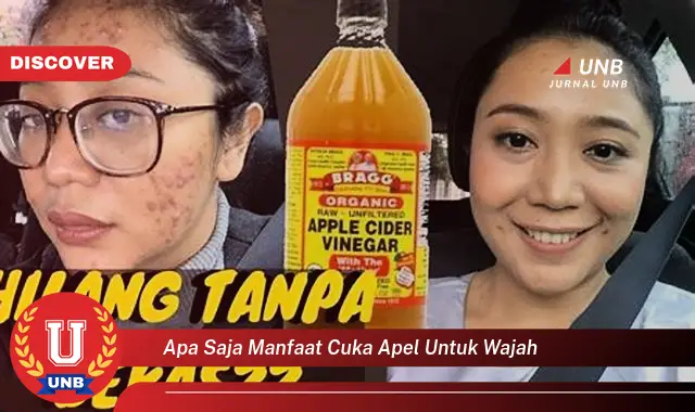 apa saja manfaat cuka apel untuk wajah apa saja manfaat cuka apel untuk wajah