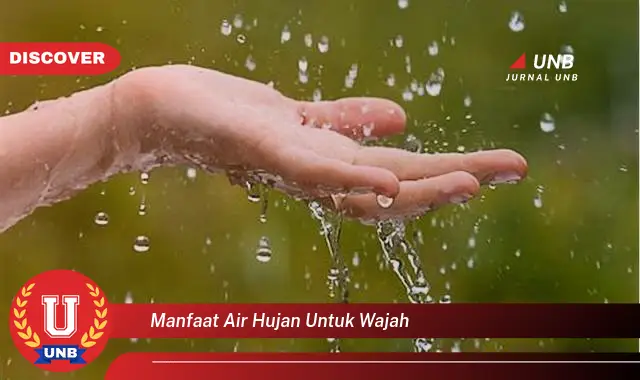 manfaat air hujan untuk wajah manfaat air hujan untuk wajah