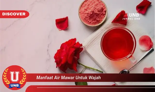 manfaat air mawar untuk wajah manfaat air mawar untuk wajah