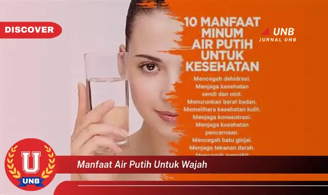 manfaat air putih untuk wajah manfaat air putih untuk wajah