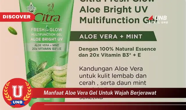 manfaat aloe vera gel untuk wajah berjerawat manfaat aloe vera gel untuk wajah berjerawat