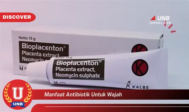 manfaat antibiotik untuk wajah manfaat antibiotik untuk wajah