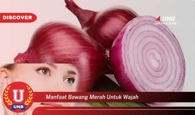 manfaat bawang merah untuk wajah manfaat bawang merah untuk wajah