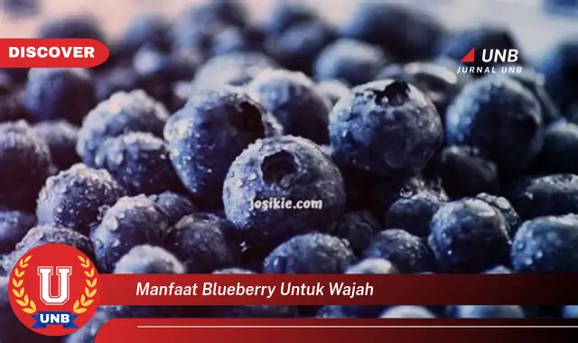 manfaat blueberry untuk wajah