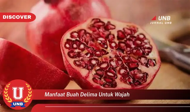 manfaat buah delima untuk wajah