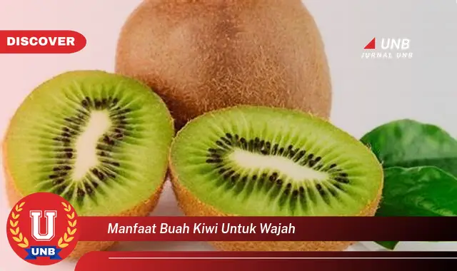 manfaat buah kiwi untuk wajah