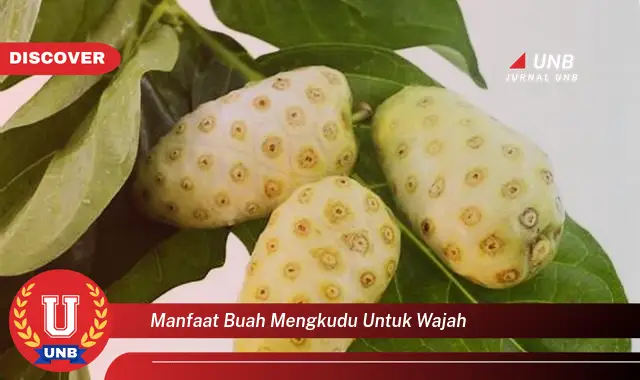 manfaat buah mengkudu untuk wajah