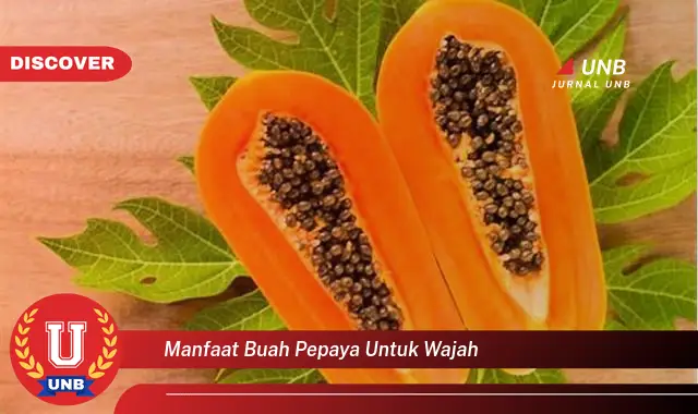 manfaat buah pepaya untuk wajah