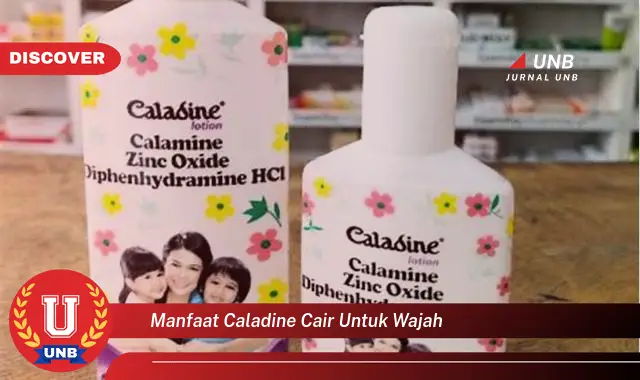 manfaat caladine cair untuk wajah manfaat caladine cair untuk wajah