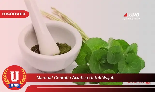 manfaat centella asiatica untuk wajah