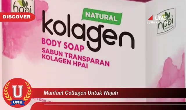 manfaat collagen untuk wajah manfaat collagen untuk wajah