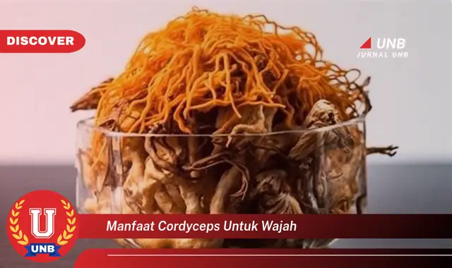 manfaat cordyceps untuk wajah