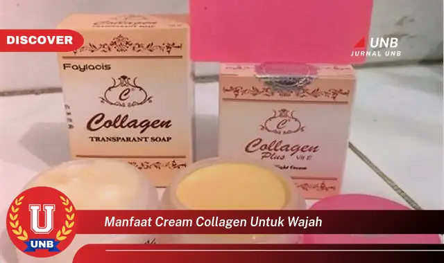 manfaat cream collagen untuk wajah manfaat cream collagen untuk wajah