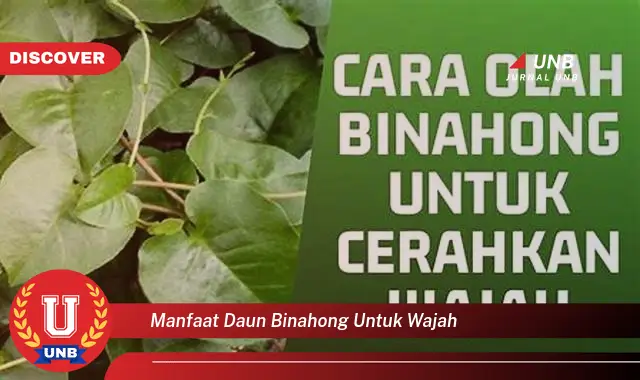 manfaat daun binahong untuk wajah