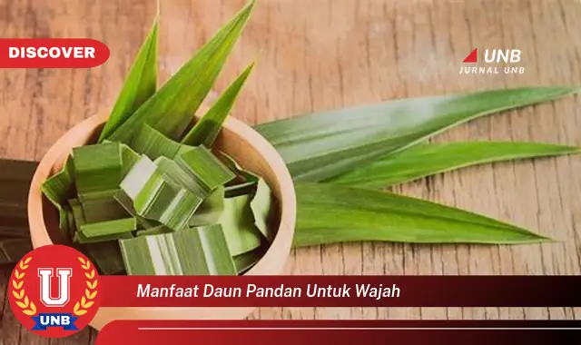 manfaat daun pandan untuk wajah manfaat daun pandan untuk wajah
