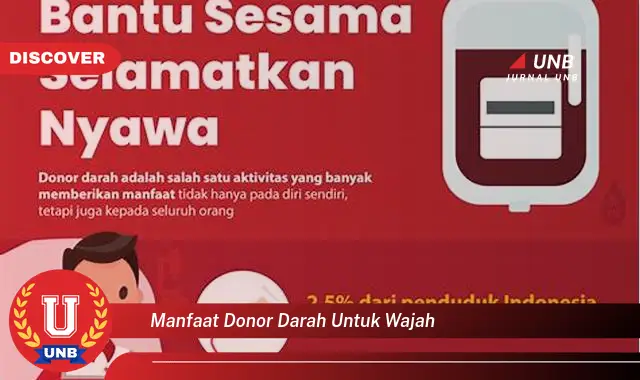 manfaat donor darah untuk wajah