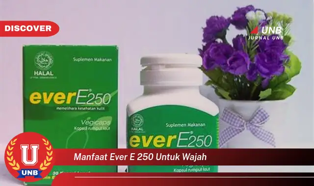 manfaat ever e 250 untuk wajah