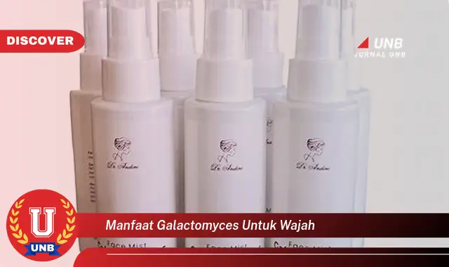 manfaat galactomyces untuk wajah manfaat galactomyces untuk wajah
