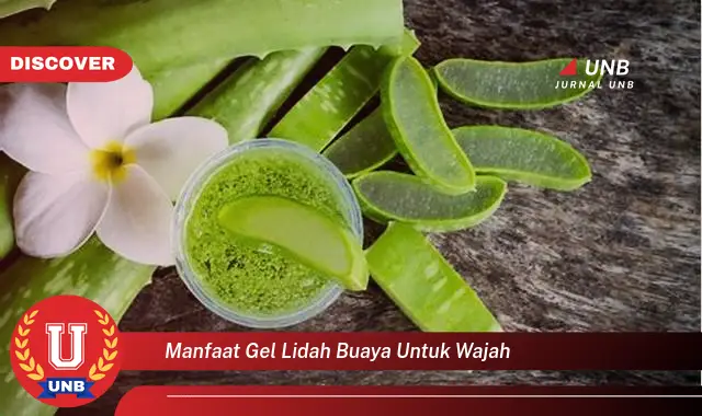 manfaat gel lidah buaya untuk wajah