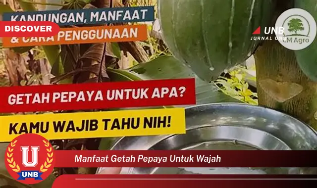 manfaat getah pepaya untuk wajah