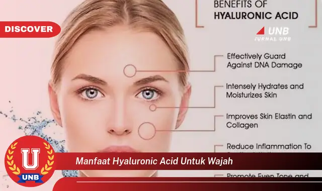 manfaat hyaluronic acid untuk wajah manfaat hyaluronic acid untuk wajah