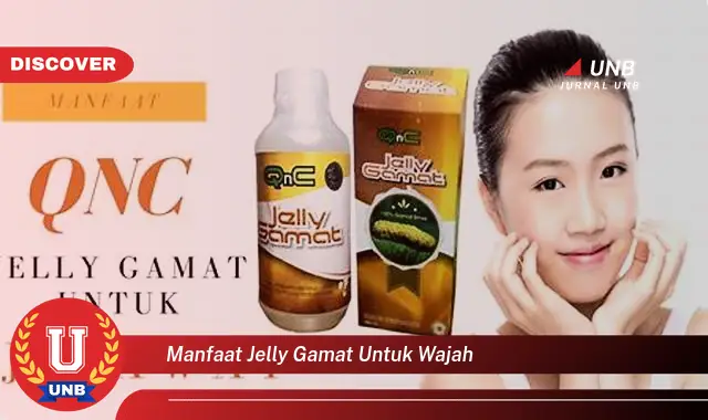 manfaat jelly gamat untuk wajah manfaat jelly gamat untuk wajah