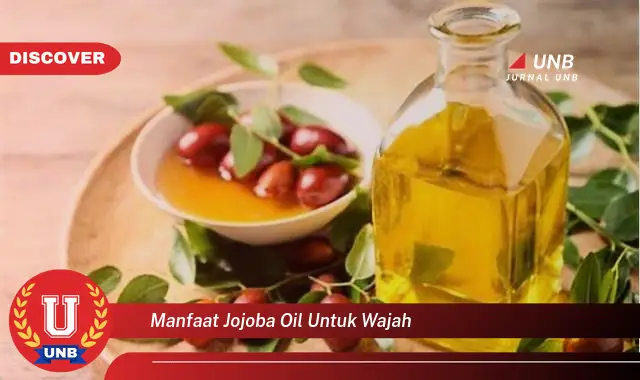 manfaat jojoba oil untuk wajah