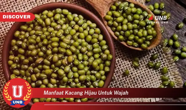 manfaat kacang hijau untuk wajah manfaat kacang hijau untuk wajah