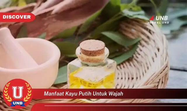 manfaat kayu putih untuk wajah manfaat kayu putih untuk wajah