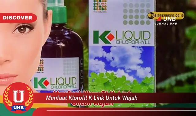 manfaat klorofil k link untuk wajah manfaat klorofil k link untuk wajah