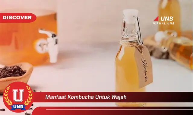 manfaat kombucha untuk wajah manfaat kombucha untuk wajah