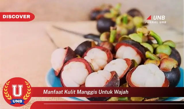 manfaat kulit manggis untuk wajah