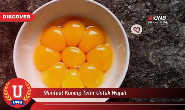 manfaat kuning telur untuk wajah