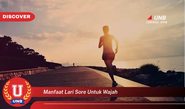manfaat lari sore untuk wajah manfaat lari sore untuk wajah