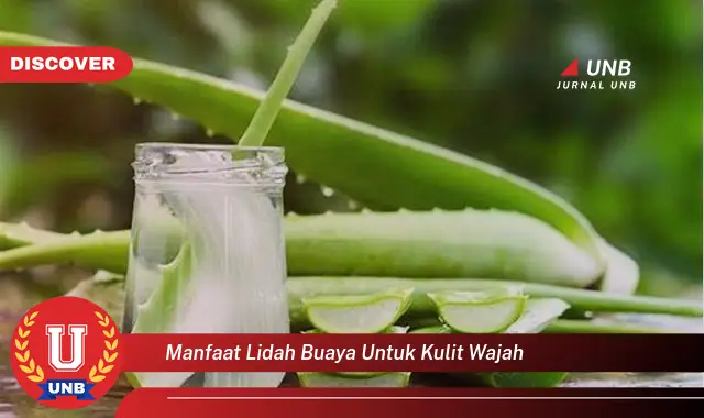 manfaat lidah buaya untuk kulit wajah