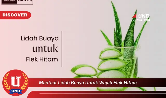 manfaat lidah buaya untuk wajah flek hitam
