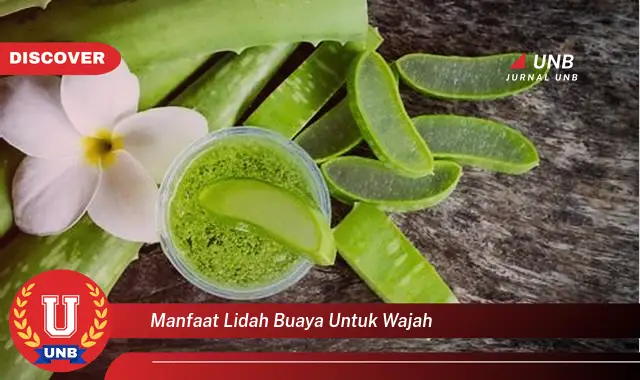 manfaat lidah buaya untuk wajah