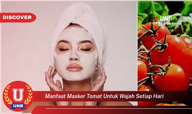 manfaat masker tomat untuk wajah setiap hari manfaat masker tomat untuk wajah setiap hari
