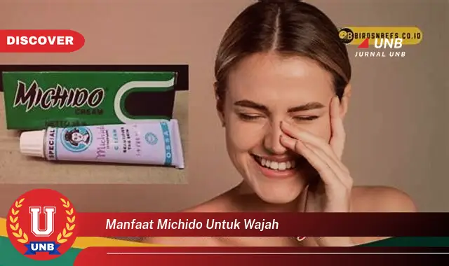 manfaat michido untuk wajah manfaat michido untuk wajah