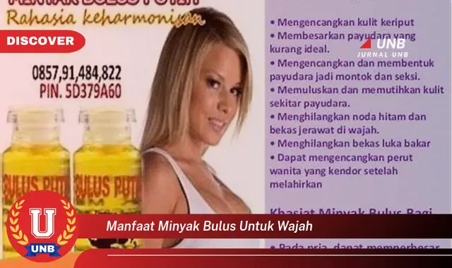 manfaat minyak bulus untuk wajah manfaat minyak bulus untuk wajah