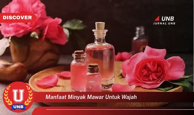 manfaat minyak mawar untuk wajah