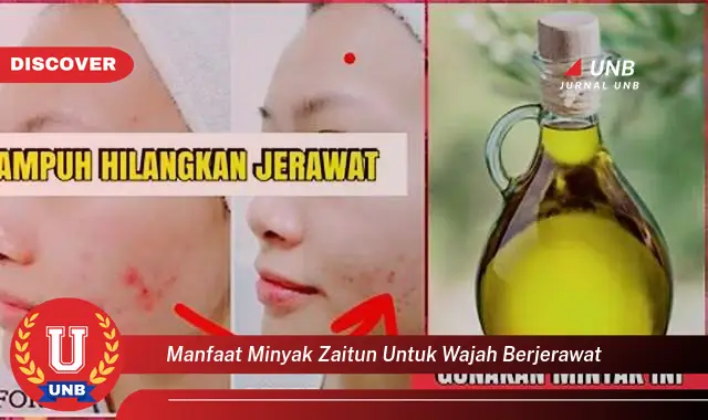 manfaat minyak zaitun untuk wajah berjerawat