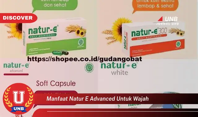 manfaat natur e advanced untuk wajah manfaat natur e advanced untuk wajah