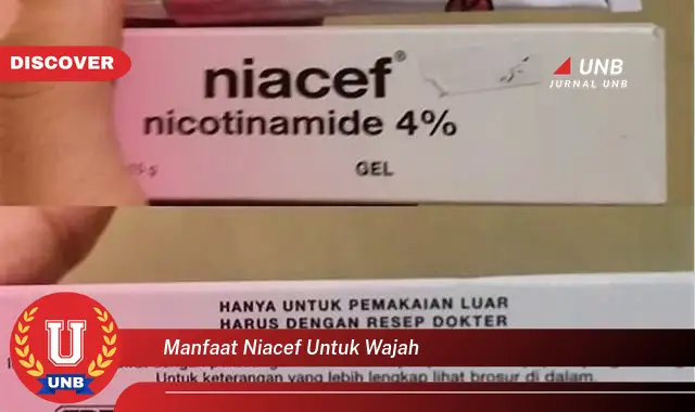 manfaat niacef untuk wajah manfaat niacef untuk wajah