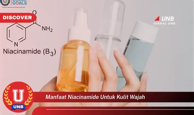 manfaat niacinamide untuk kulit wajah